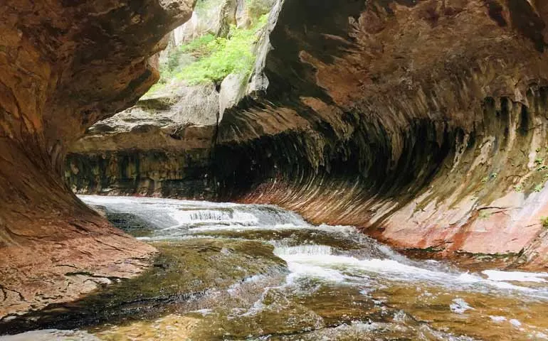 Zion National Park - best national parks to visit in summer 