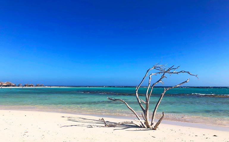 baby beach aruba