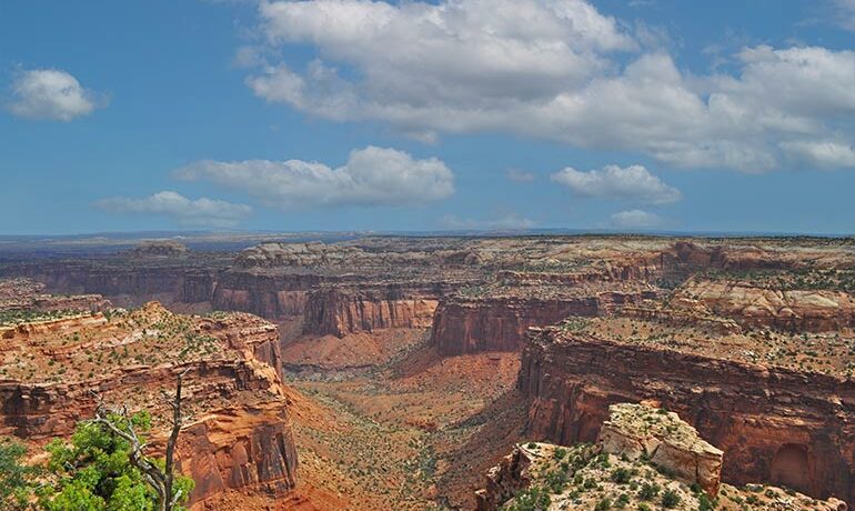 10 Best Hikes in Canyonlands National Park that Promise Incredible Views - Best Hikes CanyonlanDs National Park 770x460