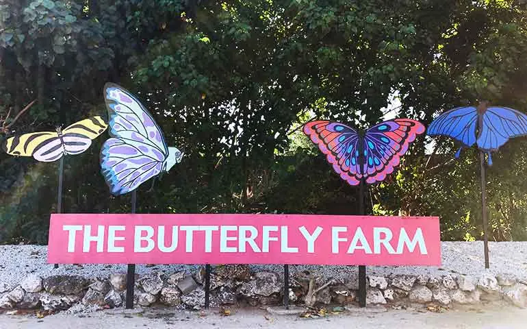 butterfly farm aruba