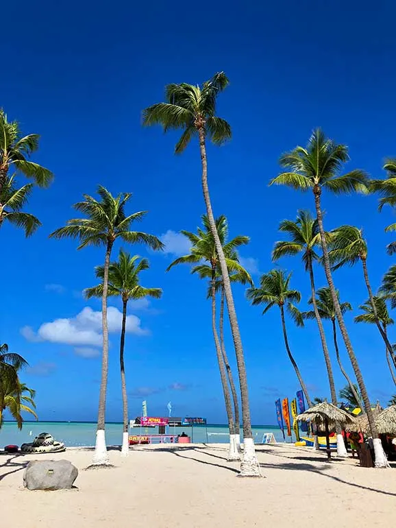 how expensive is aruba palm beach