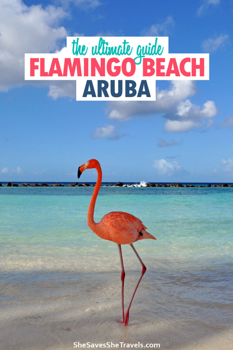 flamingo beach aruba hotels