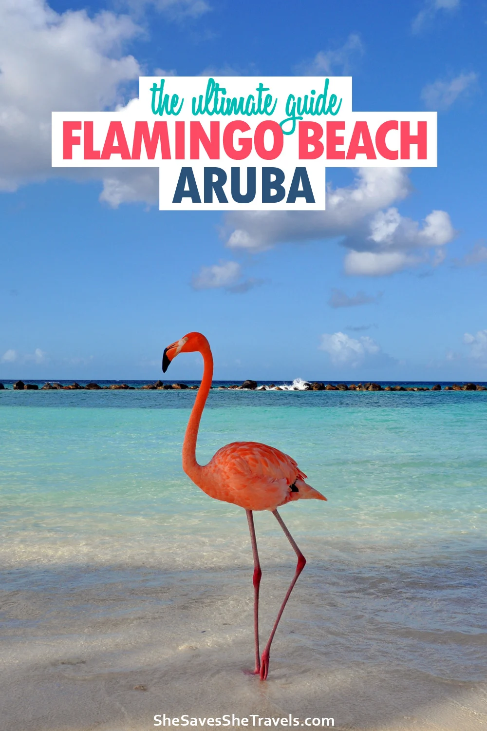 the ultimate guide Flamingo Beach Aruba