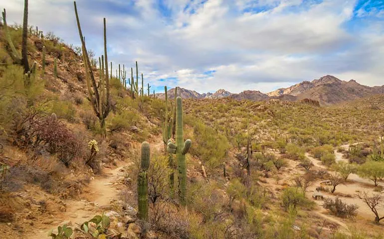 easiest hikes in the usa Sabino canyon desert views