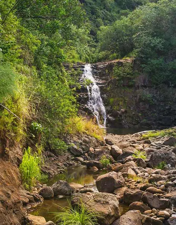 Waimea valley waterfall