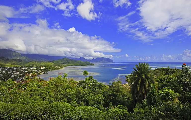 Oahu hiking trails