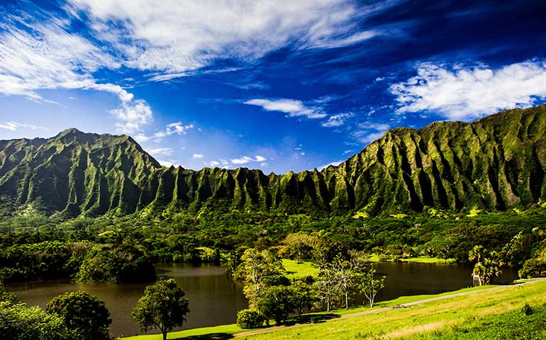 easiest hikes Oahu Hoomaluhia Gardens