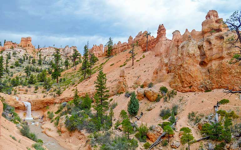 hiking beginners mossy trail Utah