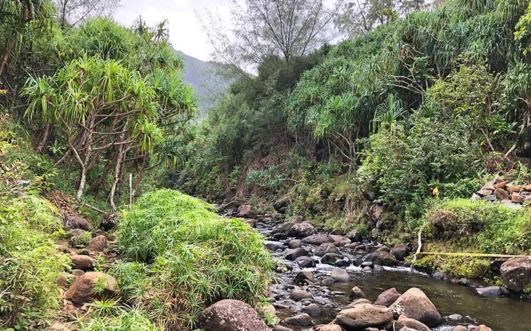 Oahu hiking trails