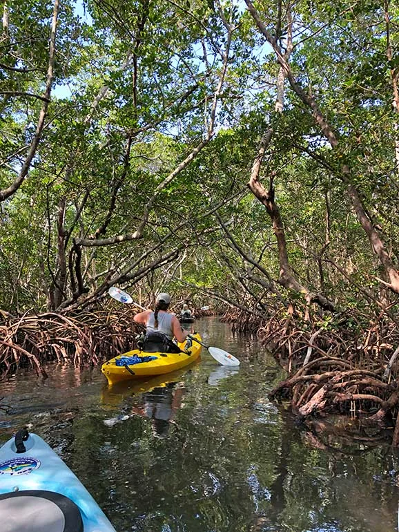 25 Awesome Things to Do in Anna Maria Island You'll Love