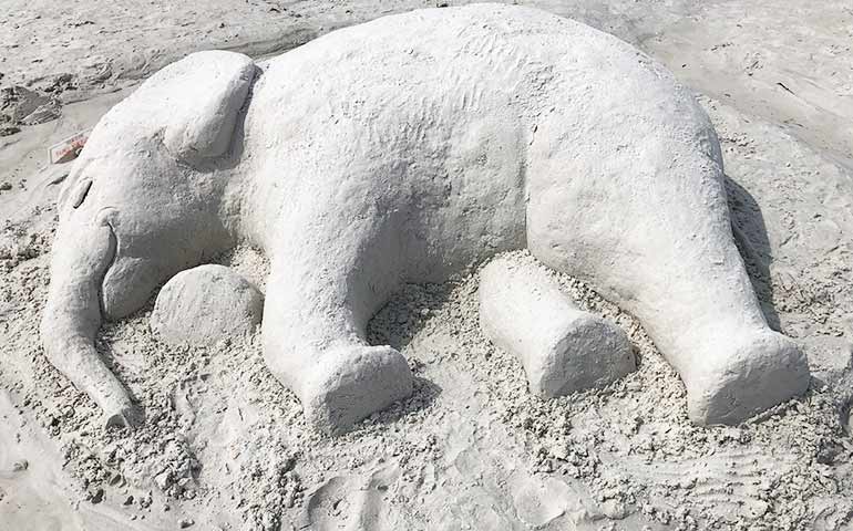 things to do Anna Maria Island build sand castles