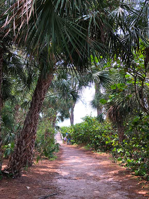 walking path to beach Anna Maria island