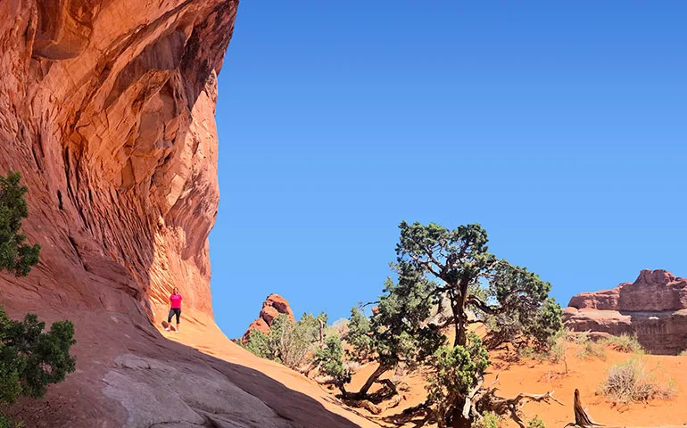 must see in arches national park in one day