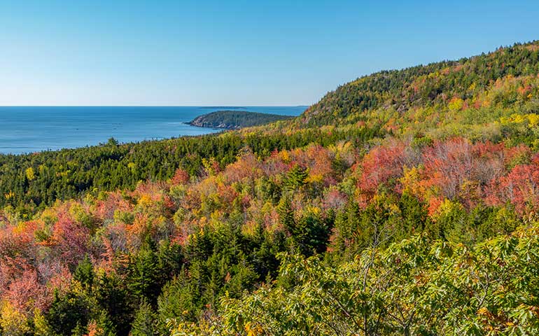 Acadia national park fall foliage