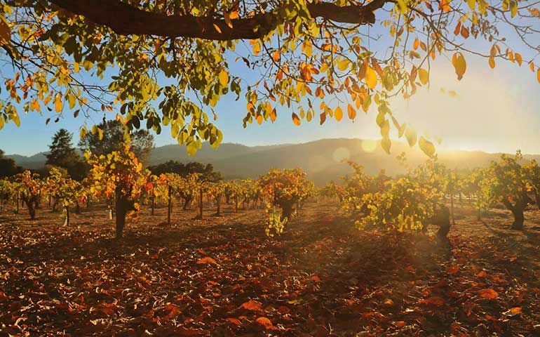 best places to visit in October in the US - Napa Valley in the fall