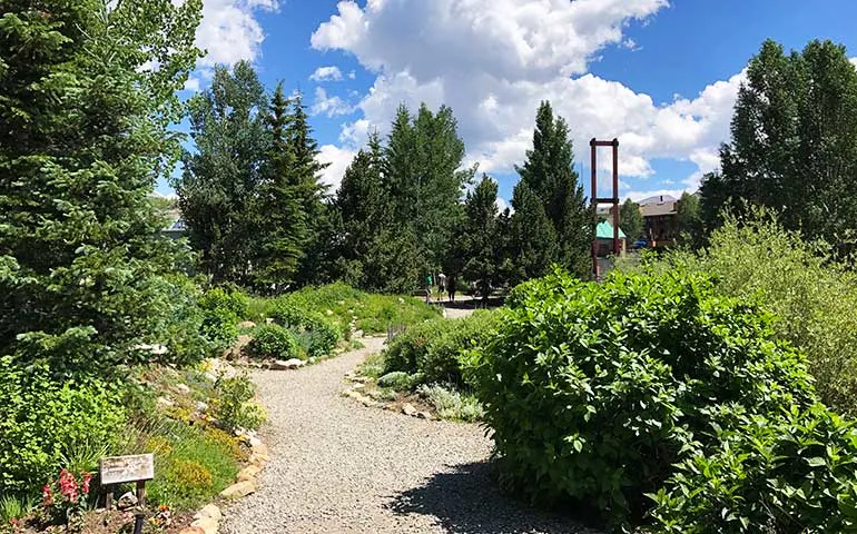 summer in Breckenridge botanical gardens