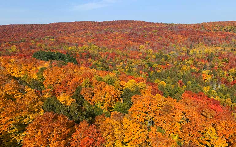places to visit in usa in october