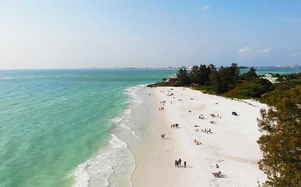 How to Find the Best Seashells on Siesta Key