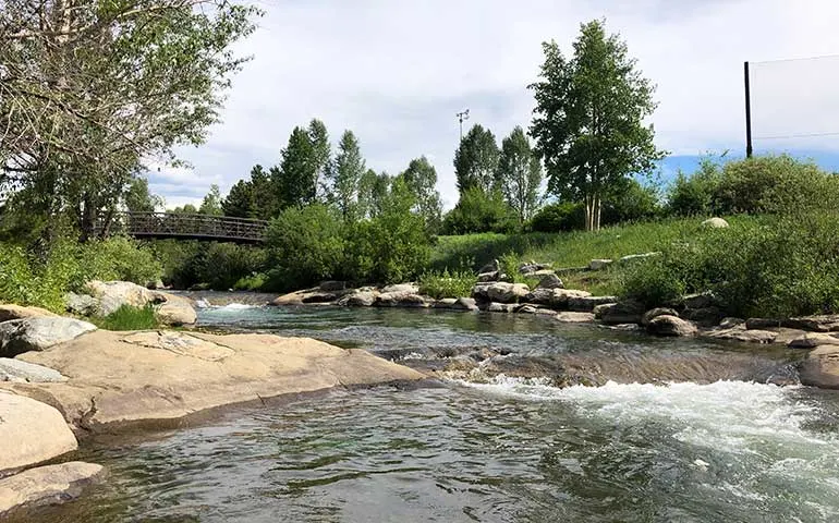 stream in summer in breckenridge