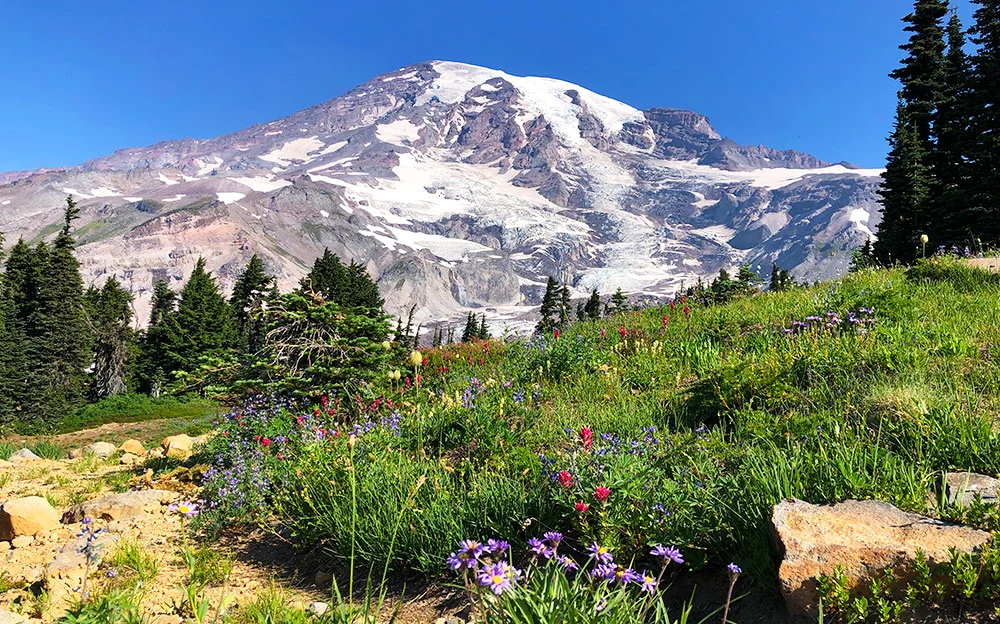 paradise hikes mt rainier