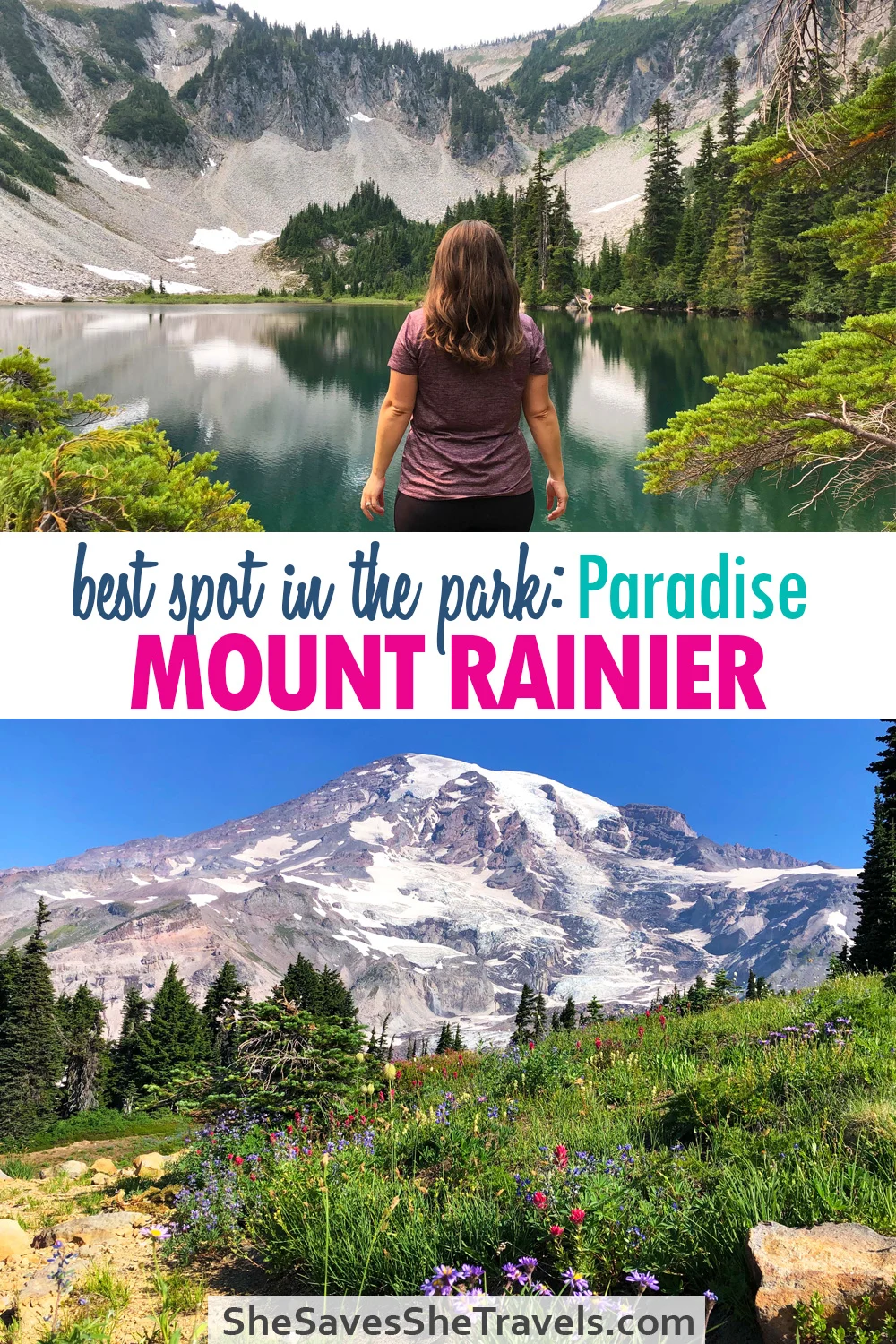 best spot in the park: paradise mount rainier