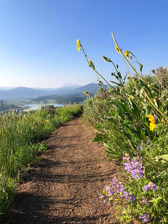 beautiful hiking trail with wildflowers