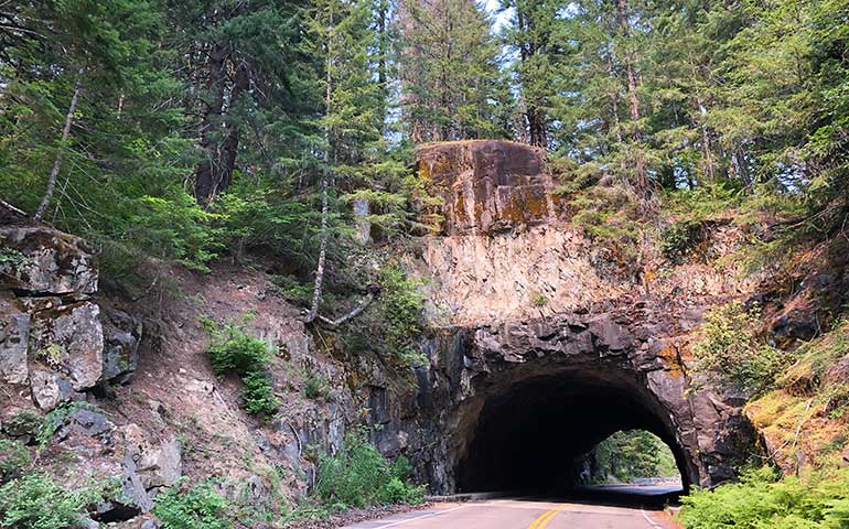 scenic drive tunnel and trees