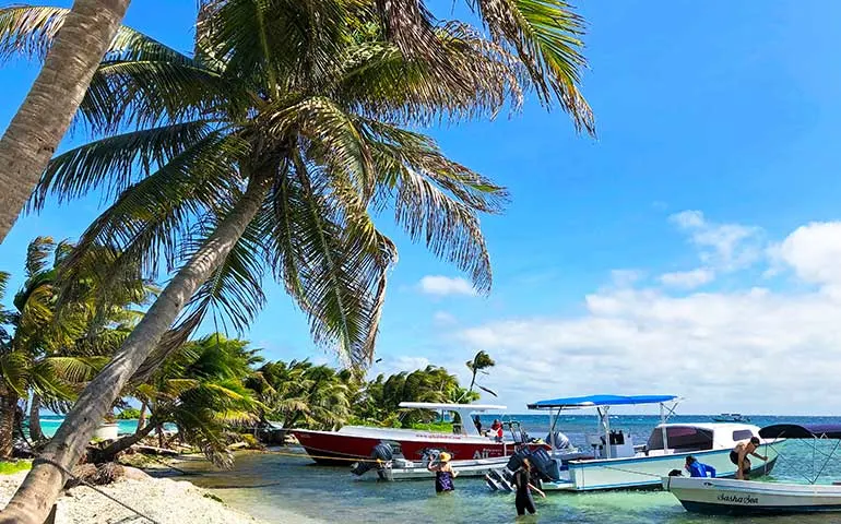 Laughing Bird Caye snorkeling tours