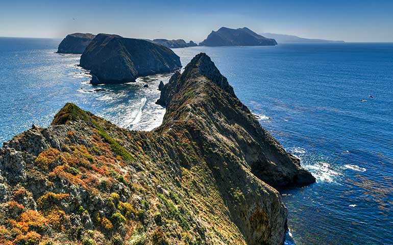 Channel Islands california