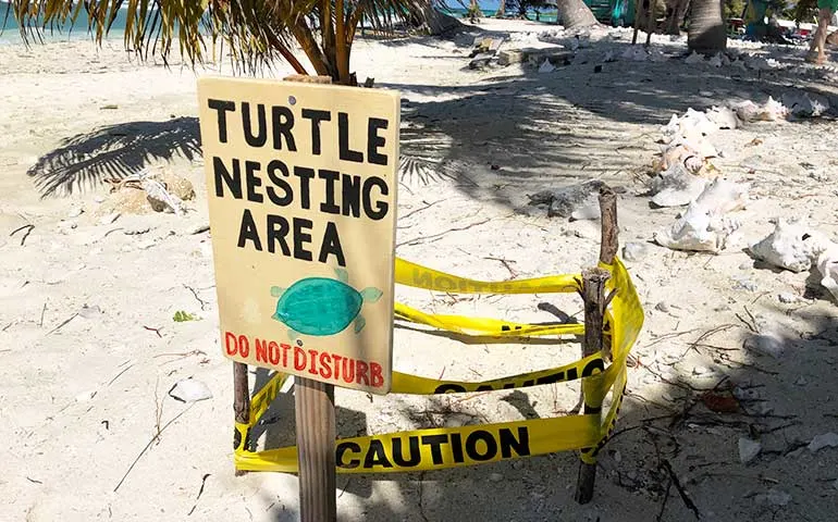 turtle nesting area sign
