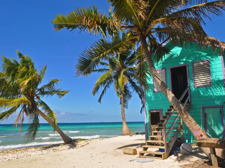 laughing bird caye Belize picture of tropical house with swaying palm trees and sand blue sky