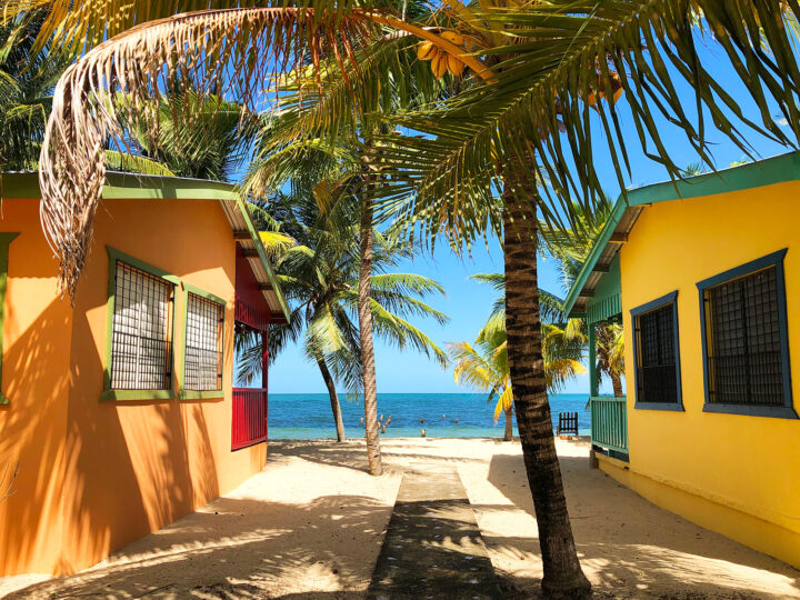 things to do in Placencia Belize picture of colorful cabanas walkway and palm trees