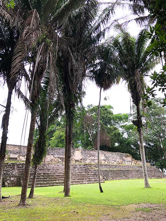 walking the grounds and plaza