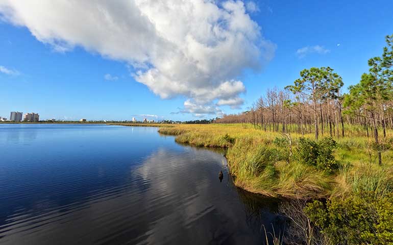 orange beach attractions - smooth lake with trees and blue sky