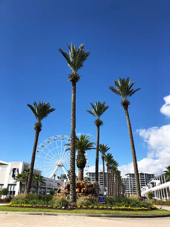 the wharf orange beach entrance with palm trees, buildings and Ferris wheel in background