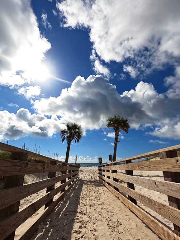 walkway to the beach with 2 palm trees, sand and bright blue sky