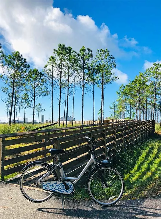 orange beach activities photo of bike leaning against wooded boardwalk with tall trees and blue sky