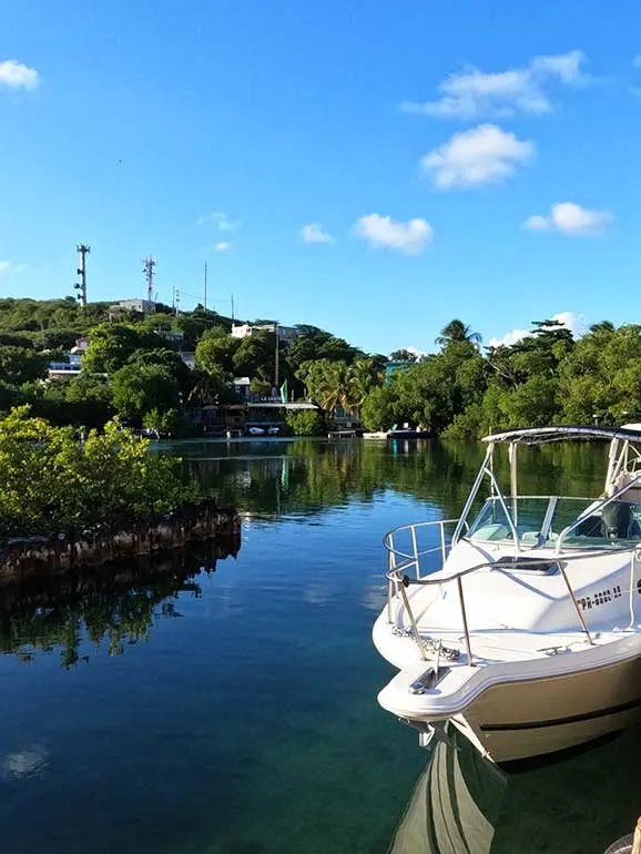 boat near dock in bay green scenery