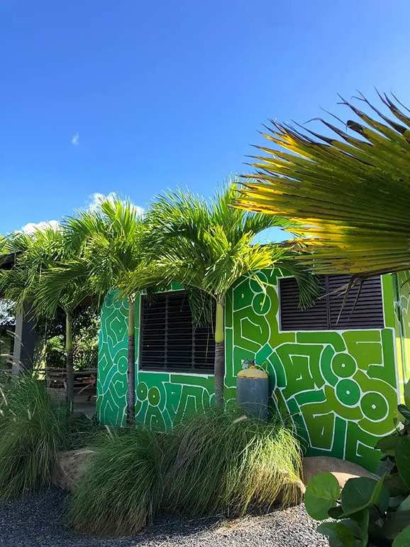 green building palm trees and flowing grass