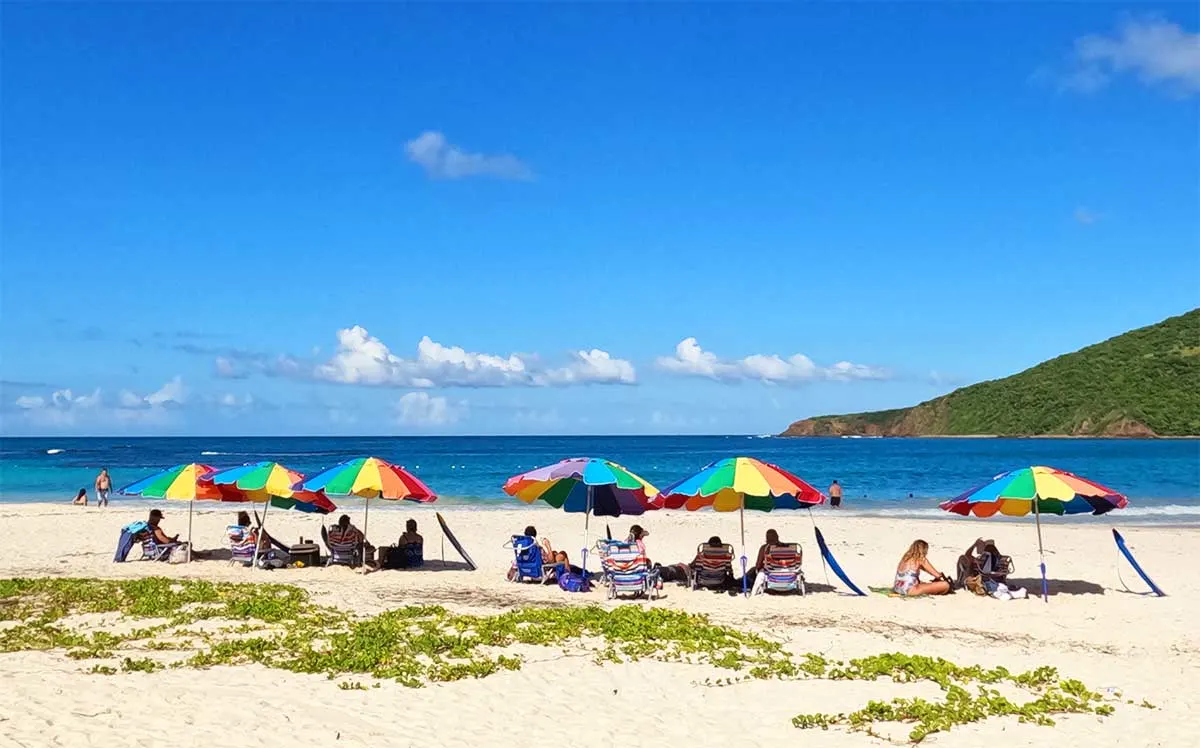 flamenco beach rent umbrellas multicolored on beach with people sitting underneath