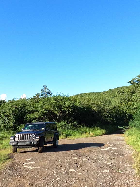 jeep in culebra Puerto Rico, parked on road with forest and blue sky