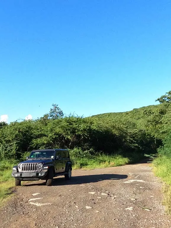 jeep in culebra Puerto Rico, parked on road with forest and blue sky