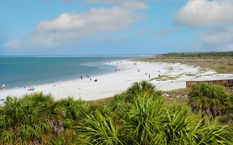 beach with green palm trees, white sand blue water - one of the best beaches in Florida for families