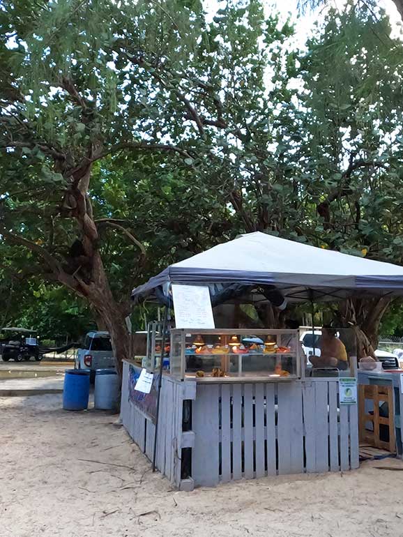 food stand with empanadas, sign against a tree background