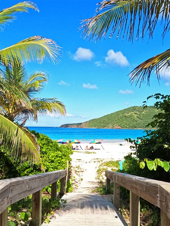 entrance to playa flamenco with palm trees, ocean and beach