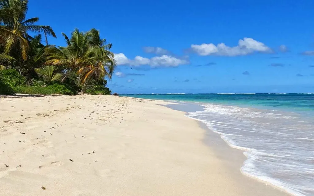 Puerto Rico flamenco beach on a sunny day white sand palm trees