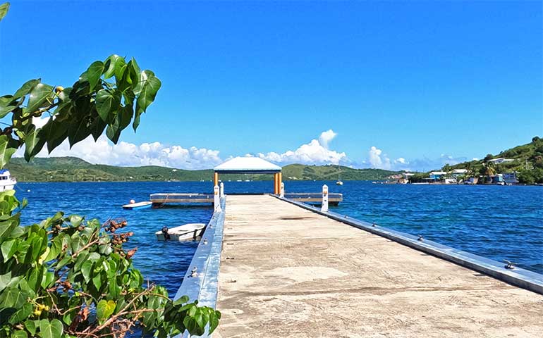 Culebra Puerto Rico pier with blue water, hilly background and bush in foreground