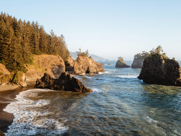 Oregon coast with trees and cliffs meet the ocean honeymoon