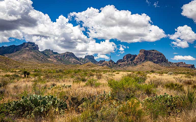 Texas big bend views of mountains and prairie in foreground on a sunny day
