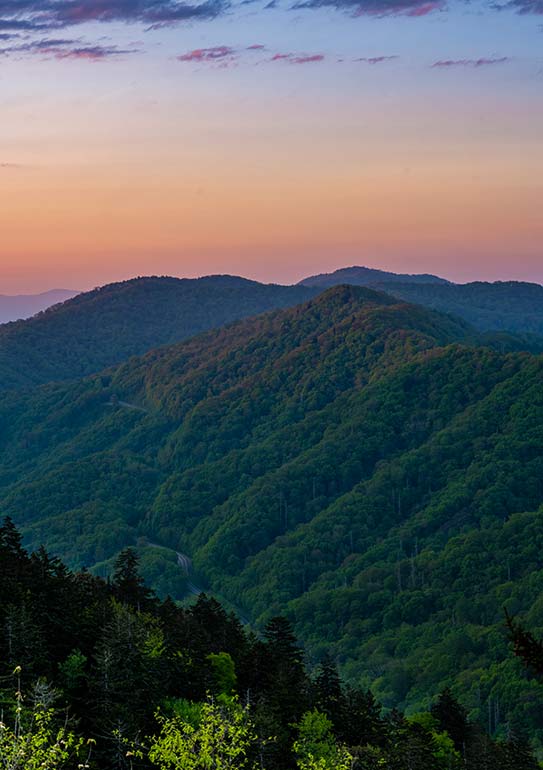 great smoky mountains at sunrise green hillside pink sky